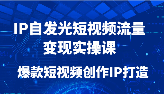 IP自发光短视频流量变现实操课，爆款短视频创作IP打造-网创资源