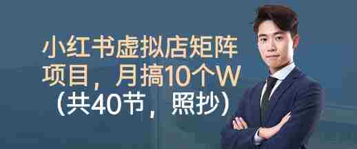 小红书虚拟店矩阵项目，照抄照做，月搞1W+（共40节）-网创资源