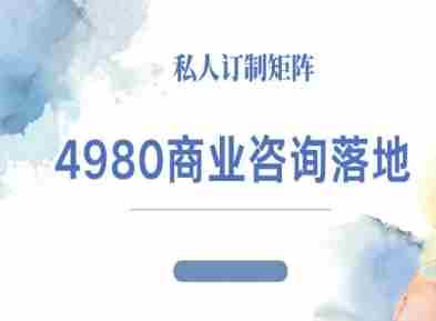 4980商业咨询师落地课程-ip运营高客单教程-网创资源