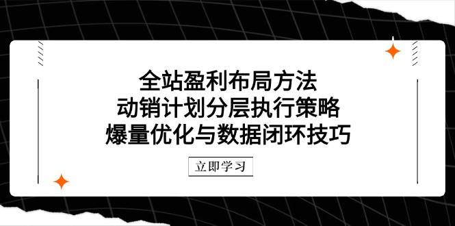 全站盈利布局方法：动销计划分层执行策略，爆量优化与数据闭环技巧-网创资源