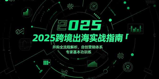 （15503期）2025跨境出海实战指南，并购全流程解析，自创营销体系，专家基本功训练-网创资源