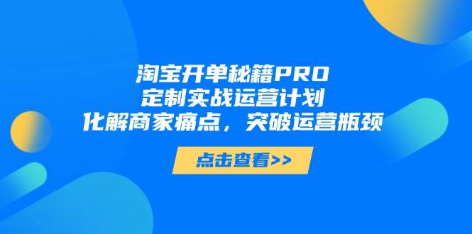 淘宝开单秘籍PRO，定制实战运营计划，化解商家痛点，突破运营瓶颈-网创资源