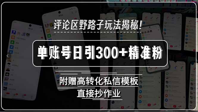 （15466期）评论区野路子玩法揭秘！单账号日引300+精准粉，附赠高转化私信模板，直…-网创资源