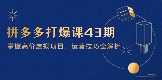 拼多多打爆课第 43 期，掌握高价虚拟项目，运营技巧全解析（15节）-网创资源