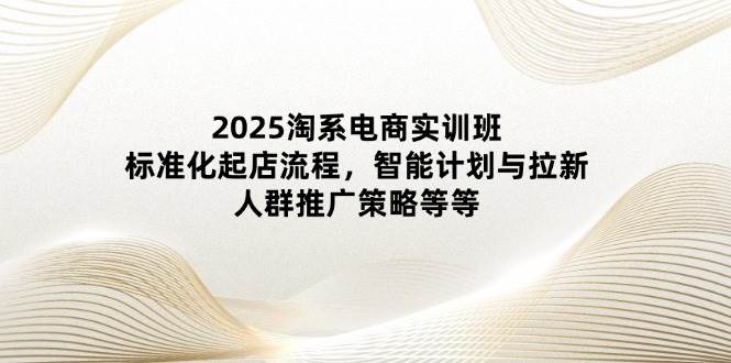 2025淘系电商实训班：标准化起店流程，智能计划与拉新，人群推广策略等等-网创资源