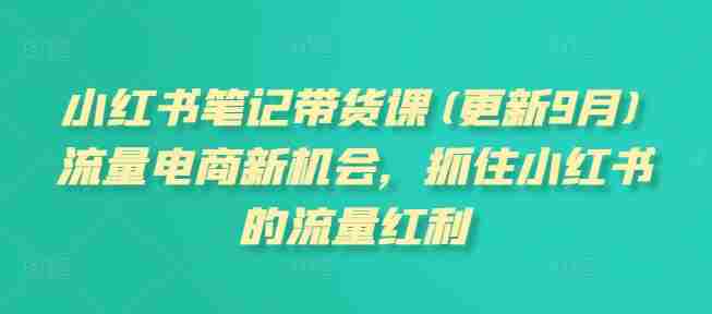 小红书笔记带货课(更新25年9月)流量电商新机会，抓住小红书的流量红利-网创资源
