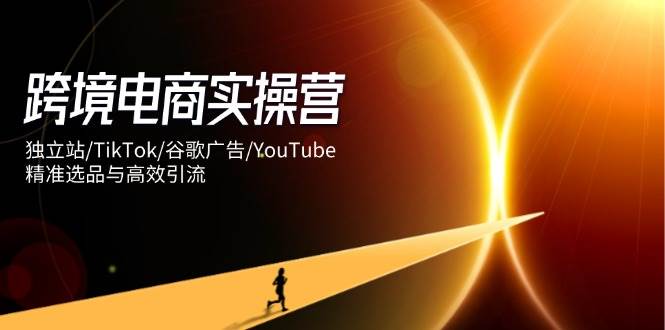 跨境电商实操营：独立站/TikTok/谷歌广告/YouTube，精准选品与高效引流-网创资源