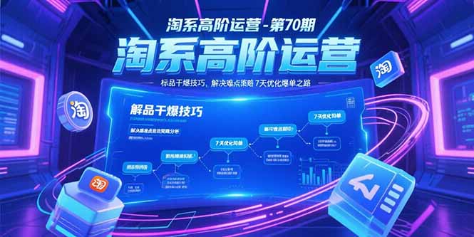（15307期）淘系高阶运营-第70期，标品干爆技巧，解决难点策略，大佬操盘方法-网创资源