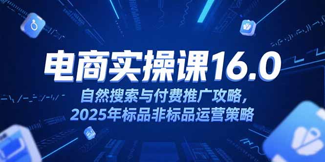（15262期）淘宝电商运营课16.0，自然搜索与付费推广攻略，2025年标品非标品运营策略-网创资源