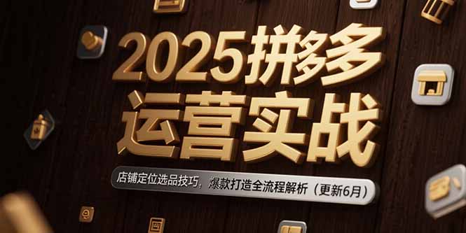 （15235期）2025拼多多运营实战：店铺定位选品技巧，爆款打造全流程解析（更新6月）-网创资源