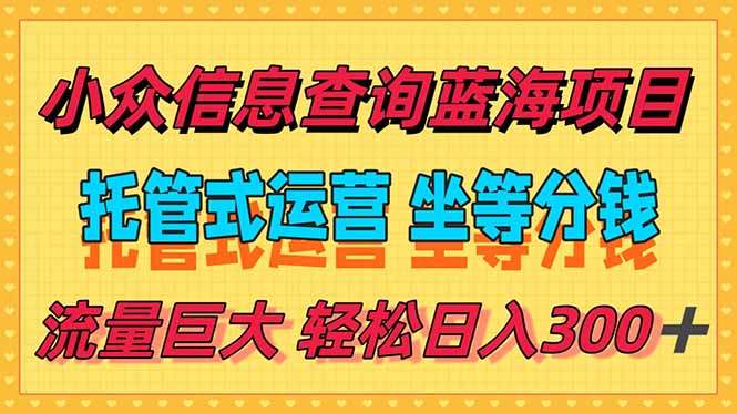 （15216期）稳定日入300＋，小众信息查询蓝海项目，全程懒人式托管，解放你的时间-网创资源