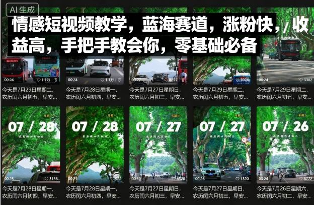 情感短视频教学，蓝海赛道，涨粉快，收益高，手把手教会你，零基础必备-网创资源