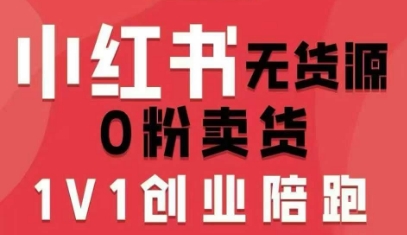 小红书无货源0粉电商课，开店准备、选品策略、笔记撰写、视频剪辑、数据分析、账号打造、资料文档-网创资源