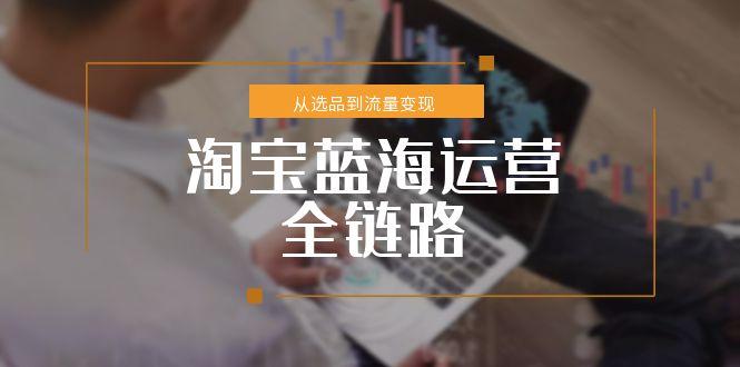 （15160期）淘宝蓝海运营全链路，从选品到流量变现，小类目突围完整方案[db:副标题]-网创资源