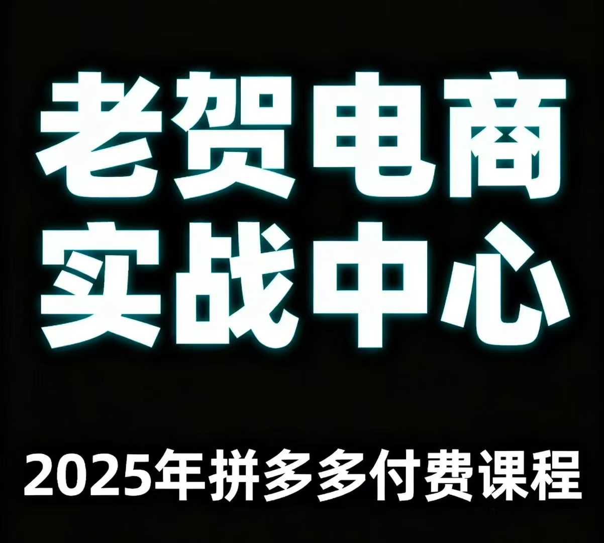 老贺电商2025年拼多多付费课程，用通俗易懂的方法告诉你多多怎么玩-网创资源