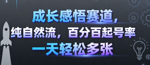 成长感悟赛道，纯自然流，百分百起号率 一天轻松多张-网创资源