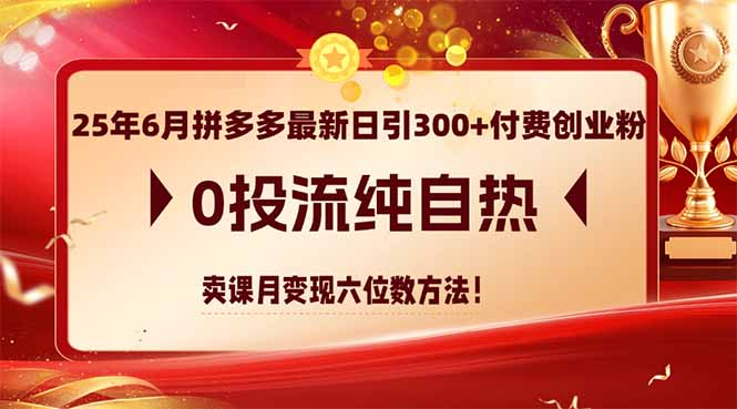 （14989期）25年6月拼多多最新日引300+付费创业粉，0投流纯自热 卖课月变现六位数方法-网创资源