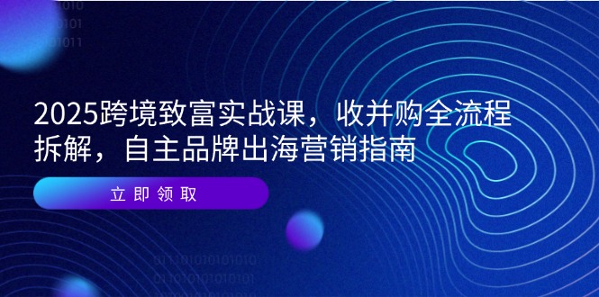 （14975期）2025跨境致富实战课，收并购全流程拆解，自主品牌出海营销指南-网创资源
