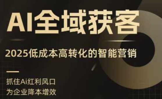 AI全域获客实训营，2025低成本高转化的智能营销，精准找客，高效营销-网创资源