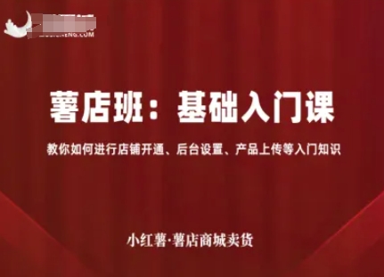 小红薯薯店商城卖货，基础入门课，教你如何进行店铺开通、后台设置、产品上传等入门知识-网创资源