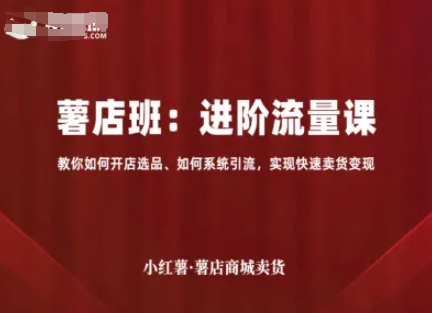 小红薯薯店商城卖货，进阶流量课，教你如何开店选品、如何系统引流，实现快速卖货变现-网创资源