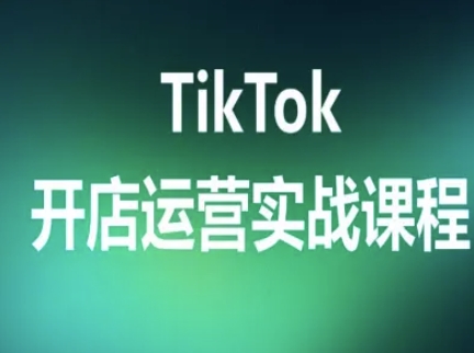 TikTok开店运营实战课程，TK跨境电商实操全流程-网创资源