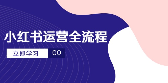 （14861期）小红书运营全流程，爆款选题文案，视频制作技巧，进阶达人宝典-网创资源