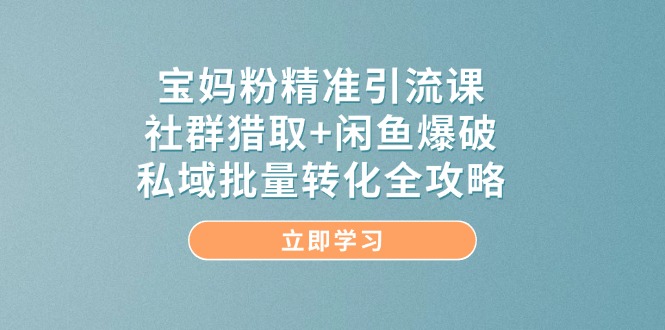（14820期）宝妈粉精准引流课，社群猎取+闲鱼爆破，私域批量转化全攻略-网创资源