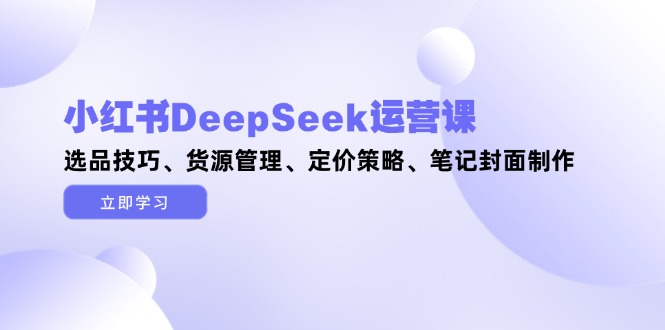 （14748期）小红书DeepSeek运营课，选品技巧、货源管理、定价策略、笔记封面制作-网创资源