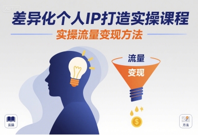 差异化个人IP打造实操课程，实操流量变现方法-网创资源