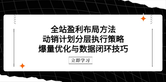 （14698期）全站盈利布局方法：动销计划分层执行策略，爆量优化与数据闭环技巧-网创资源