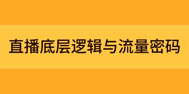 （14695期）直播底层逻辑与流量密码：定位模型+案例拆解，急速流承接与数据优化全攻略-网创资源