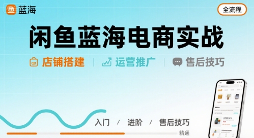 闲鱼蓝海电商实战，店铺搭建运营售后全流程-网创资源