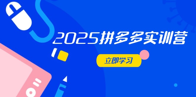 （14531期）2025拼多多实训营：深度剖析运营关键，助力电商人快速提升-网创资源