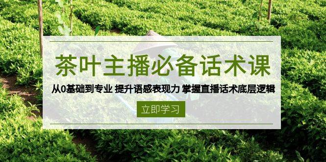 茶叶主播必备话术课 从0基础到专业 提升语感表现力 掌握直播话术底层逻辑-网创资源