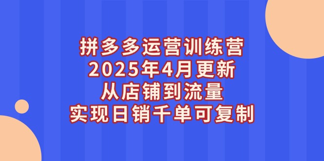 （14469期）拼多多运营训练营2025年4月更新，从店铺到流量，实现日销千单可复制-网创资源