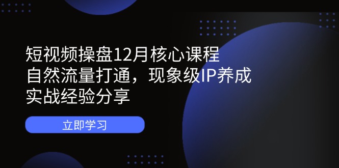 （14447期）短视频操盘12月核心课程：自然流量打通，现象级IP养成，实战经验分享-网创资源