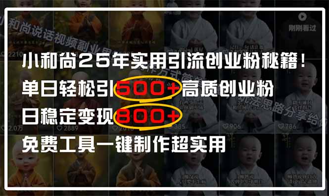 （14436期）小和尚2025年实用引流秘籍！单日轻松引500+高质量创业粉，日变现800+，…-网创资源