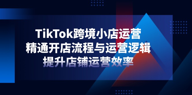 （14369期）TikTok跨境小店运营，精通开店流程与运营逻辑，提升店铺运营效率-网创资源