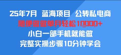 25年7月蓝海项目，公转私电商，随便做做单月轻松1w，小白一部手机就能做，完整实操步骤10分钟学会-网创资源