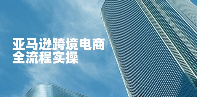 （14252期）亚马逊跨境电商全流程实操，教你从零开始，掌握店铺运营与广告技巧-网创资源