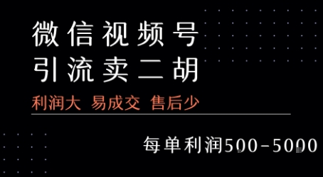 视频号卖二胡教程，利润大 易成交 售后少，一单利润5张+-网创资源