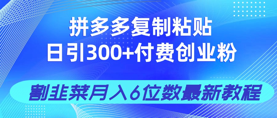 （14232期）拼多多复制粘贴日引300+付费创业粉，割韭菜月入6位数最新教程！-网创资源