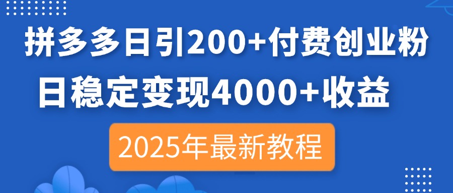 （14217期）拼多多日引200+付费创业粉，日稳定变现4000+收益，2025年最新教程-网创资源