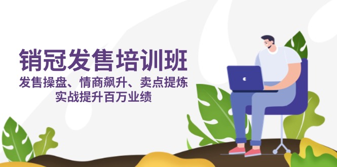 （14203期）销冠 发售培训班：发售 操盘+情商 飙升+卖点 提炼，实战提升百万业绩-网创资源