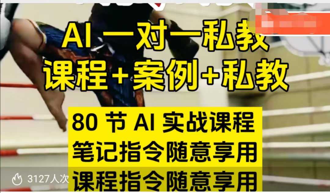 AI指令实战课，课程+案例，80节AI实战课程，笔记指令随意享用，课程指令随意享用（更新7月）-网创资源