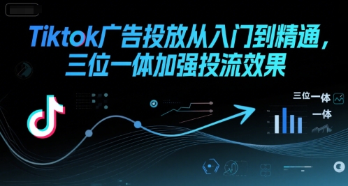Tiktok广告投放从入门到精通，三位一体加强投流效果-网创资源