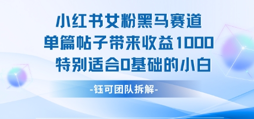 小红书女粉黑马赛道单篇帖子带来收益1k+，特别适合0基础的小白-网创资源