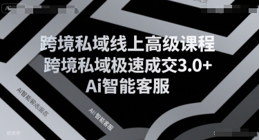 跨境私域线上高级课程，跨境私域极速成交3.0+Ai智能客服-网创资源