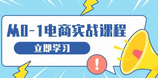 从零做电商实战课程，教你如何获取访客、选品布局，搭建基础运营团队-网创资源